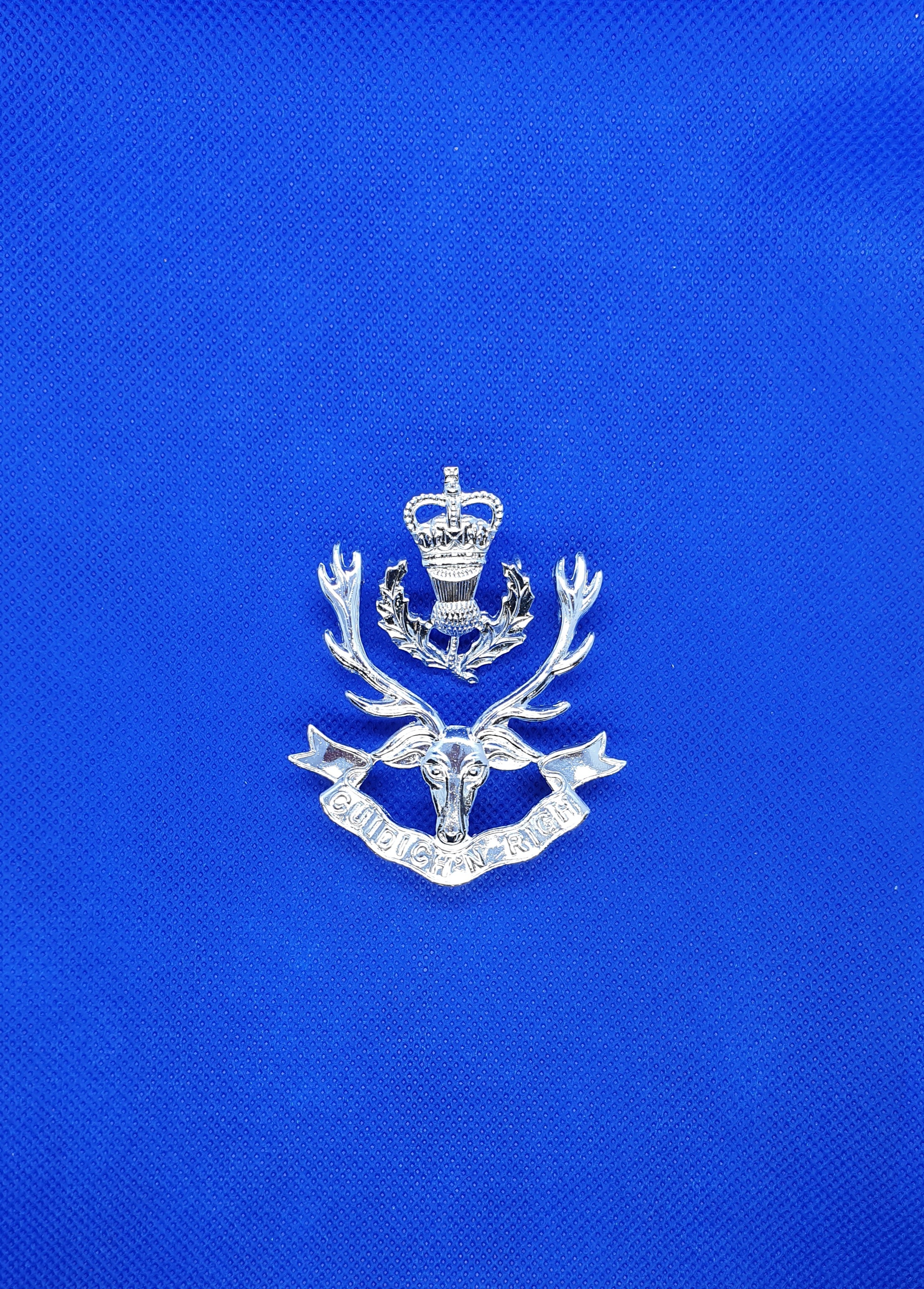 Queens Own Highlanders (Seaforth and Camerons) Cap Badge